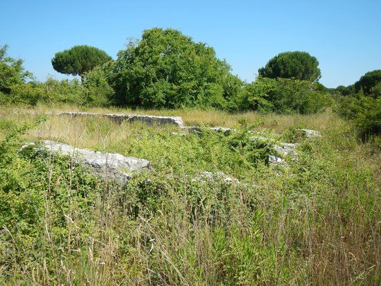 St. Andrew's Church Remains